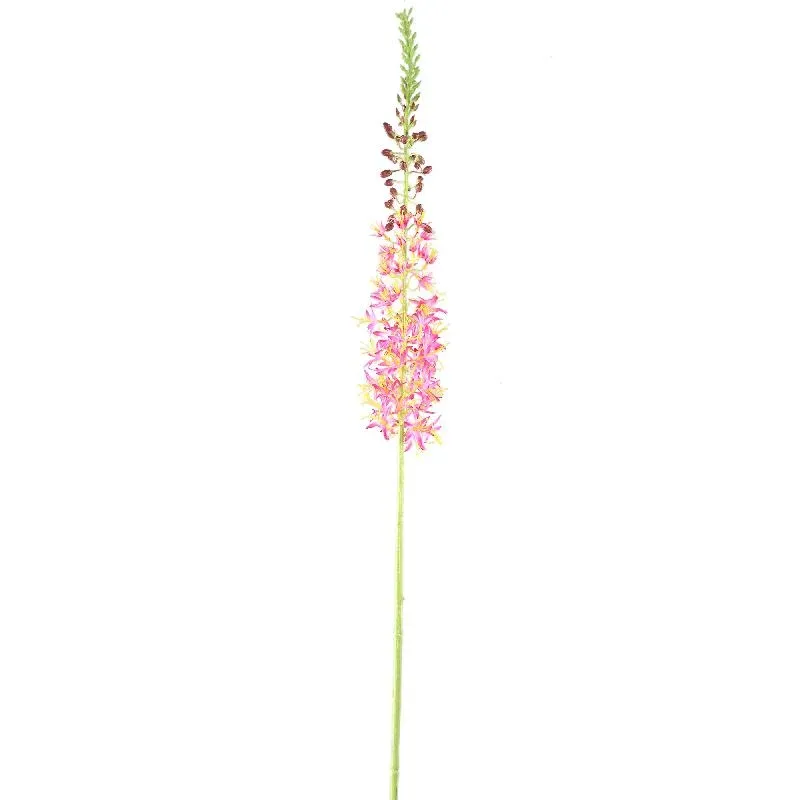Zweigpflanze – Rosa Eremurus-Zweig aus Polyesterstoff, Eisenmetall und PE-Kunststoff | PTMD