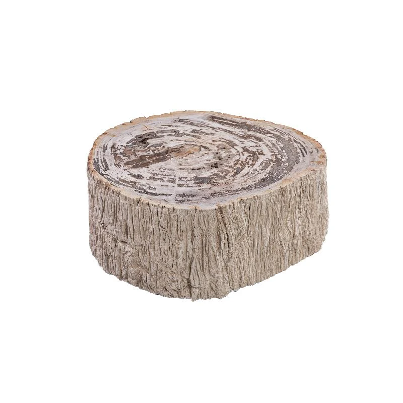 Couchtisch – Versteinertes Holz Optik, Fiberglas, Organische Form, Natur, S – Taly | PTMD
