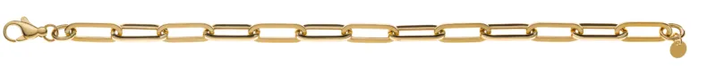 Armband Anker Oval Gelbgold 375 19cm