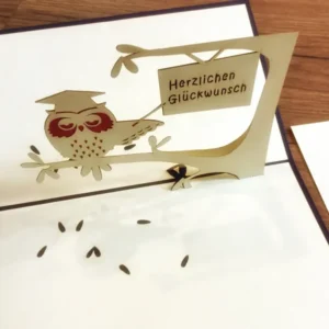 dreidimensionale Pop-up Karte mit einer Eule mit Bachelor-Hut und dem Schild „Herzlichen Glückwunsch“ - er hält mich bei Polly Paper, schöne Grußkarten in Berlin-Mitte