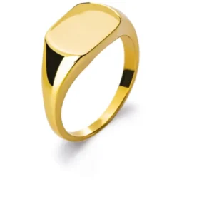 Siegelring Gelbgold 750 poliert